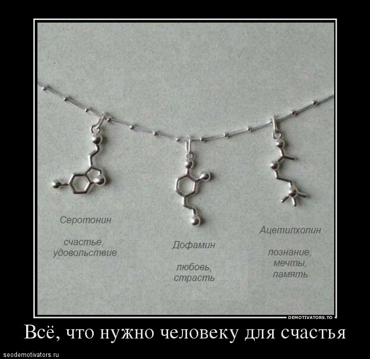 Всё, что нужно человеку для счастья