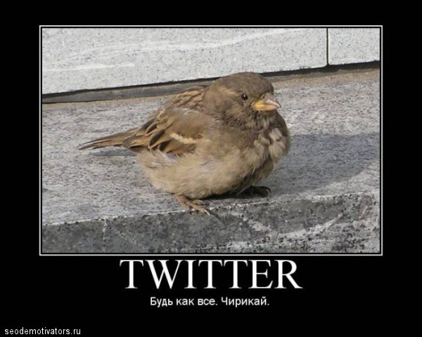 — У меня все хорошо. — Не ври, я читаю твой твиттер.